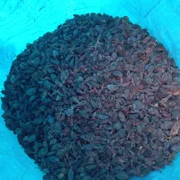 مویز