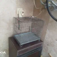 قفس پرنده
