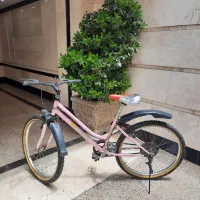 دوچرخه ۲۴ دخترانه