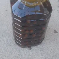 ترشی سیر ۷ ساله