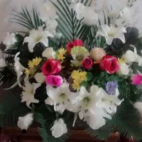 گل رومیزی