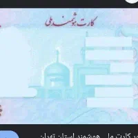 مدارکم گم شده محسن شامیپور