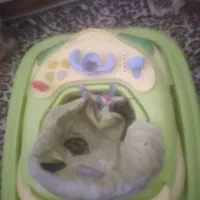 ملتالمزخ حلتزمسارتب