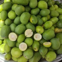 انبه سبز میناب