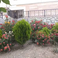 114متری-اجاره-فازیک-پردیس