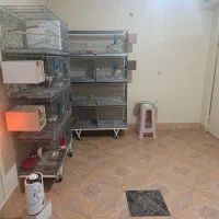پانسیون پرندگان