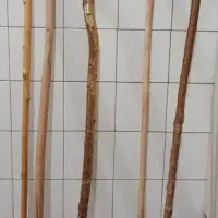عصا گوچان ارجن