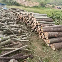 چوب شما را با بالاترین قیمت خریدارم