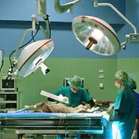 آزپت مشاوره و فروش انواع تجهیزات دامپزشکی
