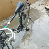 چرخ مسابقه سالم درجه یک  Dyalna Bike