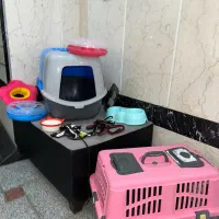 باکس سگ و گربه به همراه وسایل