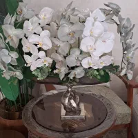 گل های ارکیده و گلدون شیک و مدرن