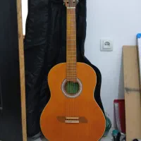 گیتار با کیف محافظ و پیک