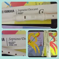 فلوت ریکوردر یاماها ژرمن YAMAHA YRS 23 (GERMAN)