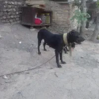 10ت
