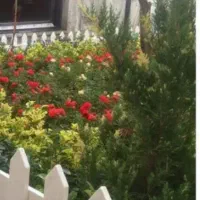 خدمات باغبانی وگل کاری