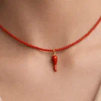 اکسسوری و بدلیجات دلوین