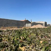 فروش ۵۰۰ متر چهاردیواری تیمیارت