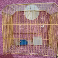قفس پرنده