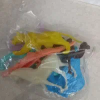 شهر حیوانات