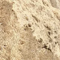 کاه