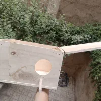 لانه طوطی سانان