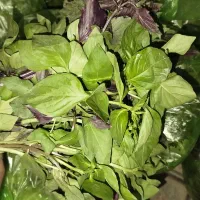 سبزی دسته گلی