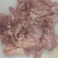بچه فیله