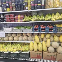 صندقدار خانم نیم شیفت