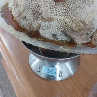 عسل کنار