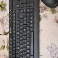 کی برد و موس