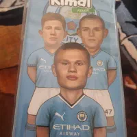 البوم منچسترسیتی