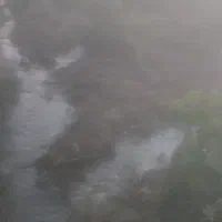 فروش باغ انگور
