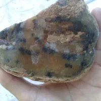 سنگهای شجر و ناب ...مهره های جذاب