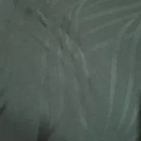 چادر مشکی