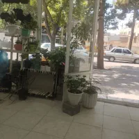اجاره ویلایی خیابان مهندس