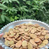 تعویض انواع زیتون و باقالی خشک با برنج