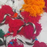 شیردنگ چپی