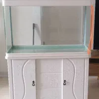 آکواریوم شرکتی دلسا K1000