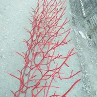 حفاظ روی دیوار