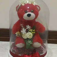 باکس گل وعروسک