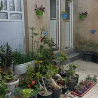 معاوضه منزل مسکونی با مسکن مهر رجاباد