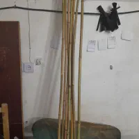 نی بامبو مناسب تزئینات و گلدان