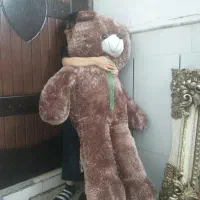 خرس قهوه ای بزرگ
