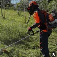 زدن علف هرز در هر متراژ با قیمت مناسب