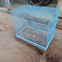 قفس پرنده