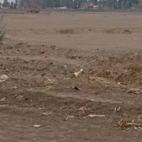 سهام فاز ۳ نیرو دریای