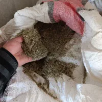 کاه یونجه (یونجه پودر شده)
