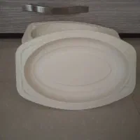 ظرف یکبار مصرف