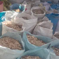 پوشال خراطی خاک اره و چوب هیزمی گردو